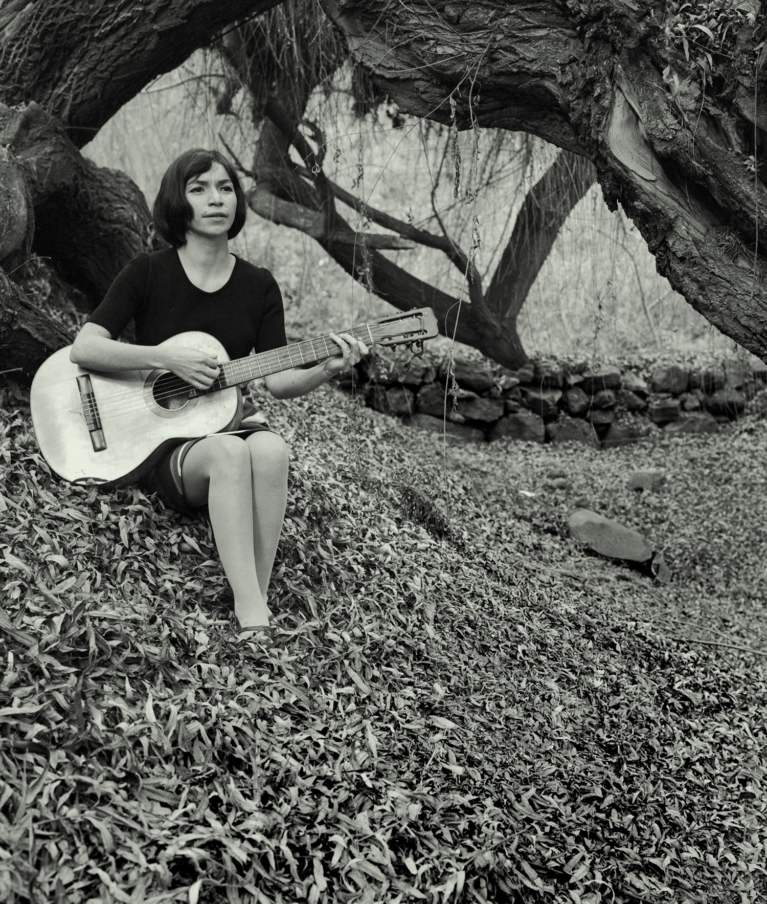 Isabel Parra: El pensamiento íntimo